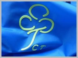 3D Silicone Heat Transfer Label for Shirts